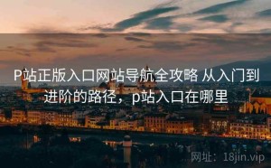 P站正版入口网站导航全攻略 从入门到进阶的路径，p站入口在哪里
