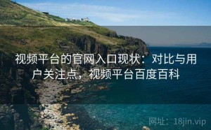 视频平台的官网入口现状：对比与用户关注点，视频平台百度百科
