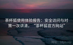 茶杯狐使用体验报告：安全访问与对策一次讲清，“茶杯狐官方网站”