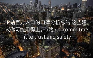 P站官方入口的口碑分析总结 这些建议你可能用得上，p站our commitment to trust and safety