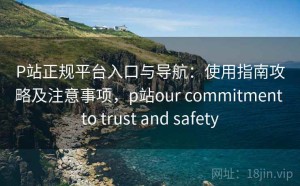 P站正规平台入口与导航：使用指南攻略及注意事项，p站our commitment to trust and safety