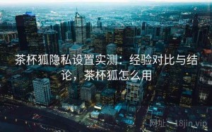 茶杯狐隐私设置实测：经验对比与结论，茶杯狐怎么用