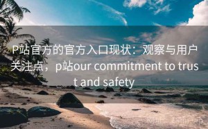 P站官方的官方入口现状：观察与用户关注点，p站our commitment to trust and safety