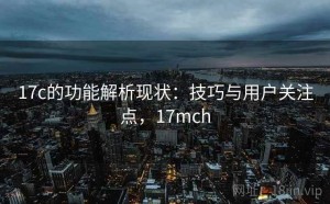 17c的功能解析现状：技巧与用户关注点，17mch