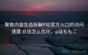 聚焦内容生态拆解P站官方入口的访问速度 总结怎么优化，p站ももこ