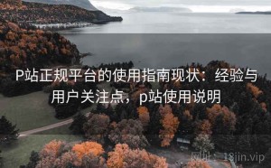 P站正规平台的使用指南现状：经验与用户关注点，p站使用说明