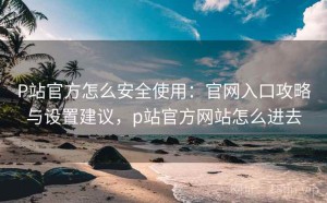 P站官方怎么安全使用：官网入口攻略与设置建议，p站官方网站怎么进去