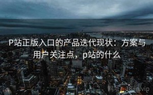 P站正版入口的产品迭代现状：方案与用户关注点，p站的什么