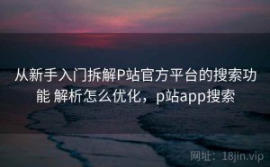 从新手入门拆解P站官方平台的搜索功能 解析怎么优化，p站app搜索