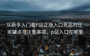 从新手入门看P站正版入口竞品对比 关键点与注意事项，p站入口在哪里
