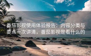 番茄影视使用体验报告：内容分类与要点一次讲清，番茄影视是看什么的
