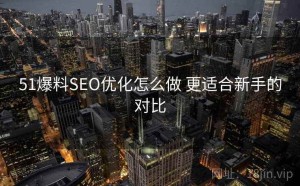 51爆料SEO优化怎么做 更适合新手的对比