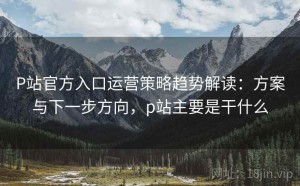 P站官方入口运营策略趋势解读：方案与下一步方向，p站主要是干什么
