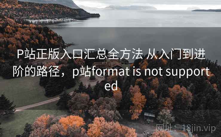 P站正版入口汇总全方法 从入门到进阶的路径,p站format is not supported P站正版入口汇总全方法 从入门到进阶的路径,p站format is not supported