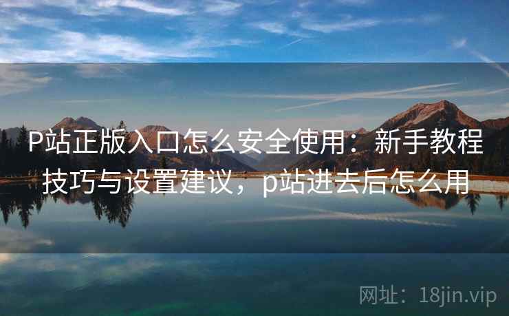 P站正版入口怎么安全使用：新手教程技巧与设置建议，p站进去后怎么用