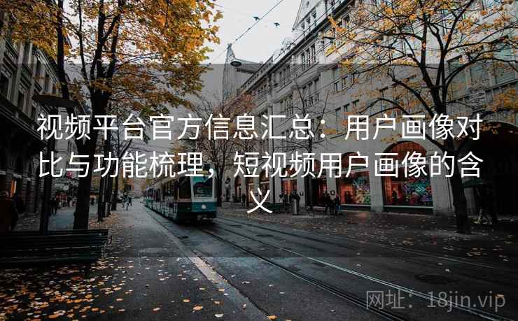 视频平台官方信息汇总：用户画像对比与功能梳理，短视频用户画像的含义