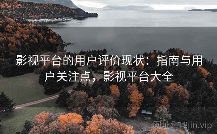 影视平台的用户评价现状：指南与用户关注点，影视平台大全