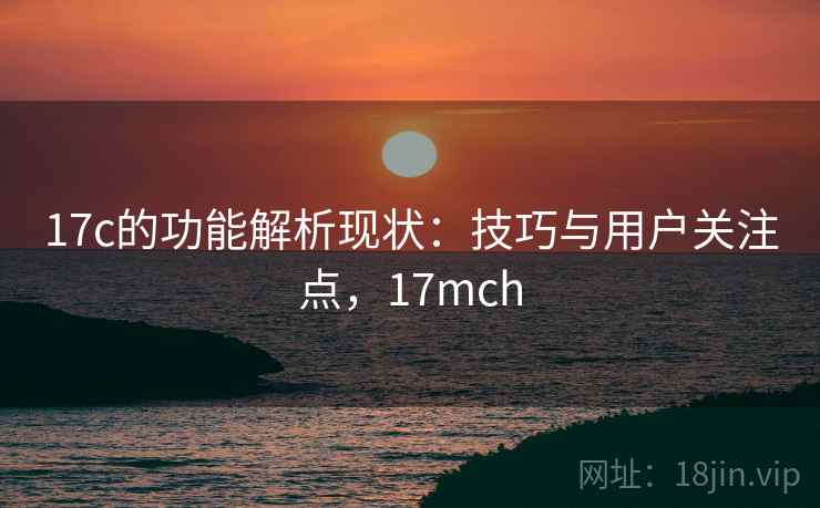 17c的功能解析现状：技巧与用户关注点，17mch