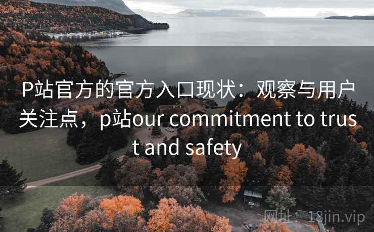P站官方的官方入口现状：观察与用户关注点，p站our commitment to trust and safety