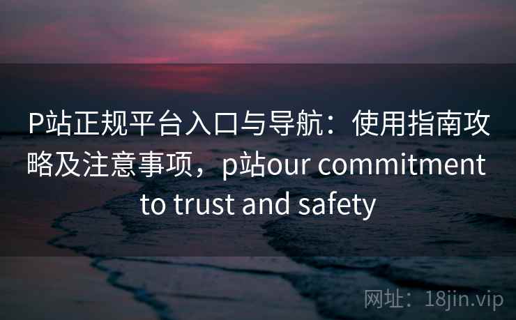 P站正规平台入口与导航：使用指南攻略及注意事项，p站our commitment to trust and safety