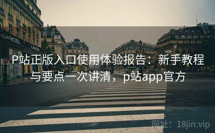 P站正版入口使用体验报告:新手教程与要点一次讲清,p站app官方 P站正版入口使用体验报告:新手教程与要点一次讲清,p站app官方