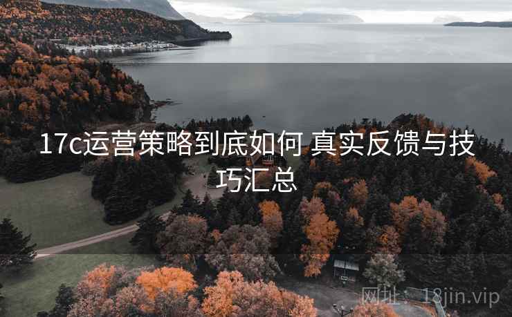 17c运营策略到底如何 真实反馈与技巧汇总
