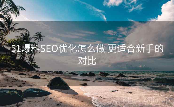 51爆料SEO优化怎么做 更适合新手的对比
