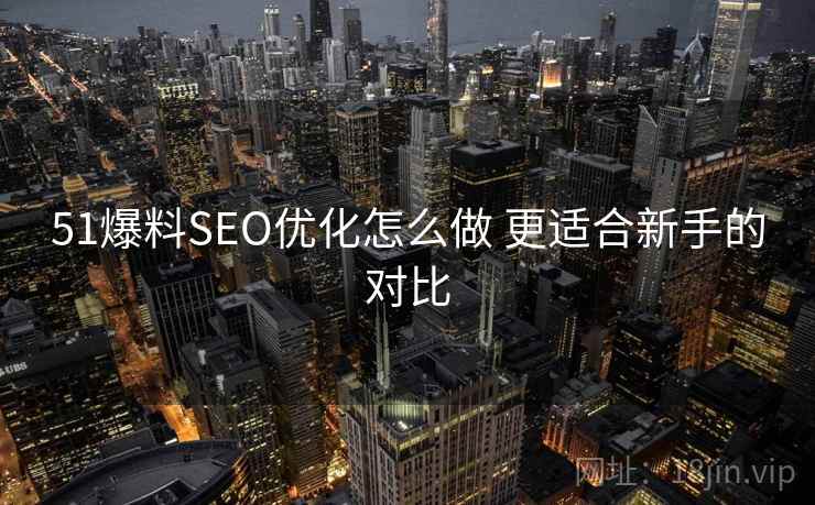 51爆料SEO优化怎么做 更适合新手的对比
