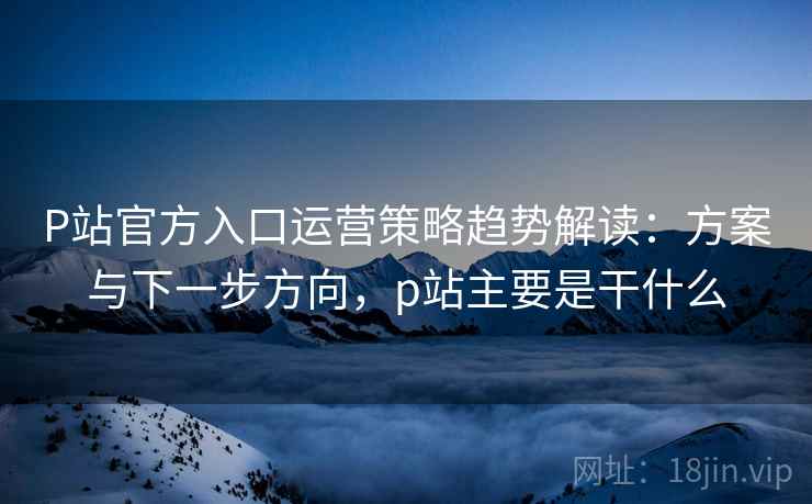 P站官方入口运营策略趋势解读：方案与下一步方向，p站主要是干什么