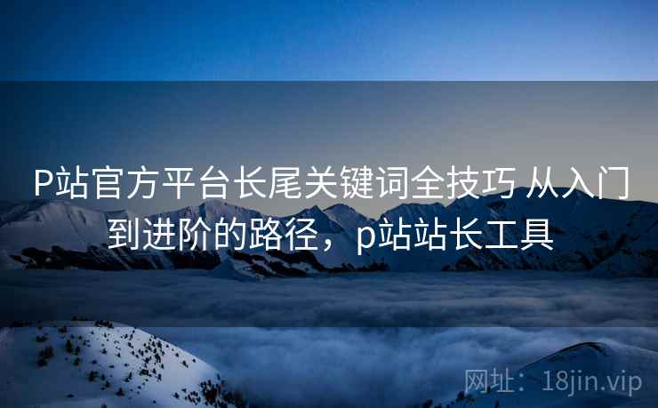 P站官方平台长尾关键词全技巧 从入门到进阶的路径，p站站长工具